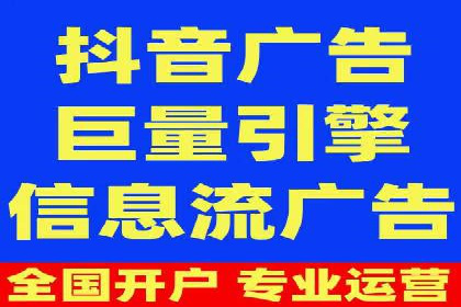 竞价广告投放技巧与案例分析