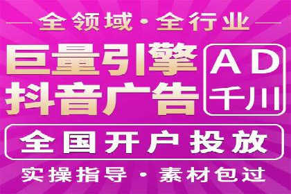 竞价排名中的数据分析和优化案例